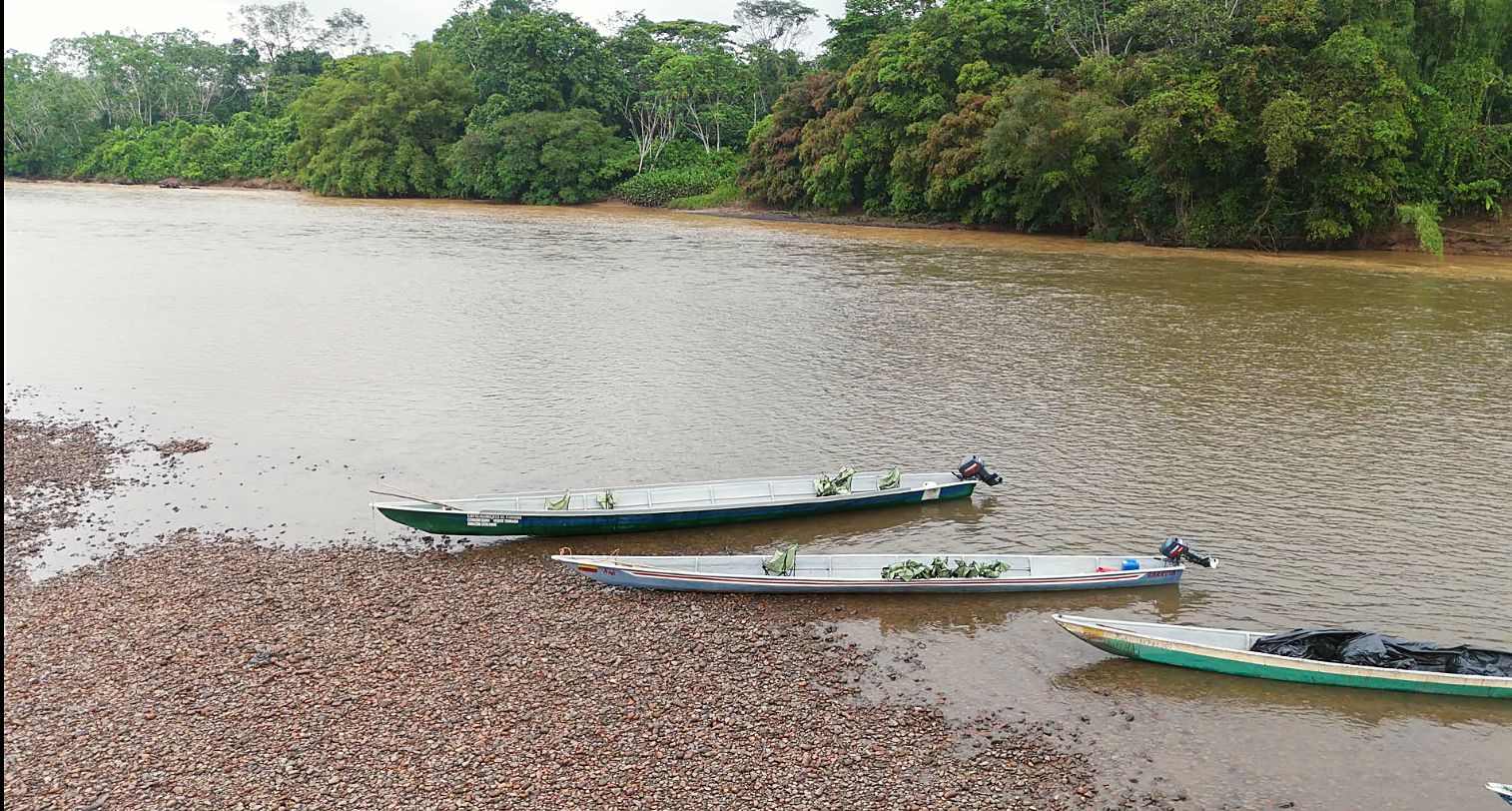 Long canoes pulled up on the riverbank